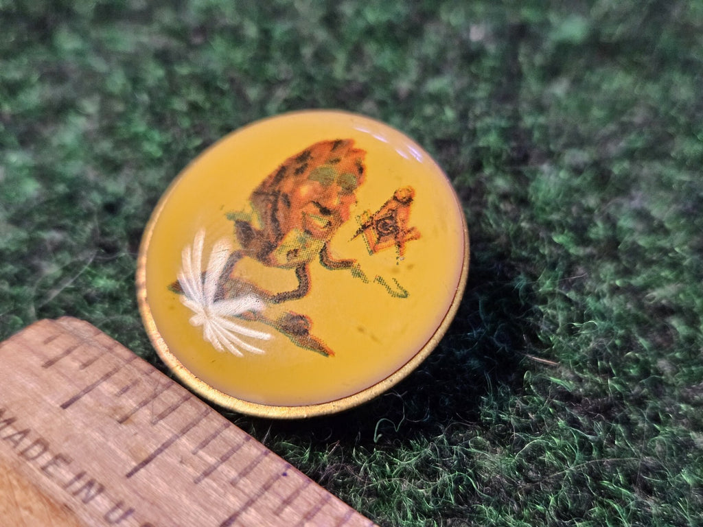 Shriners Masonic  Masons California Raisins Vintage Lapel Hat Pin