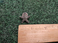 Star Starfish Lapel Pin Brooch