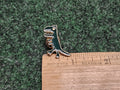 T Rex Dinosaur Metal & Enamel Lapel Pin Badge