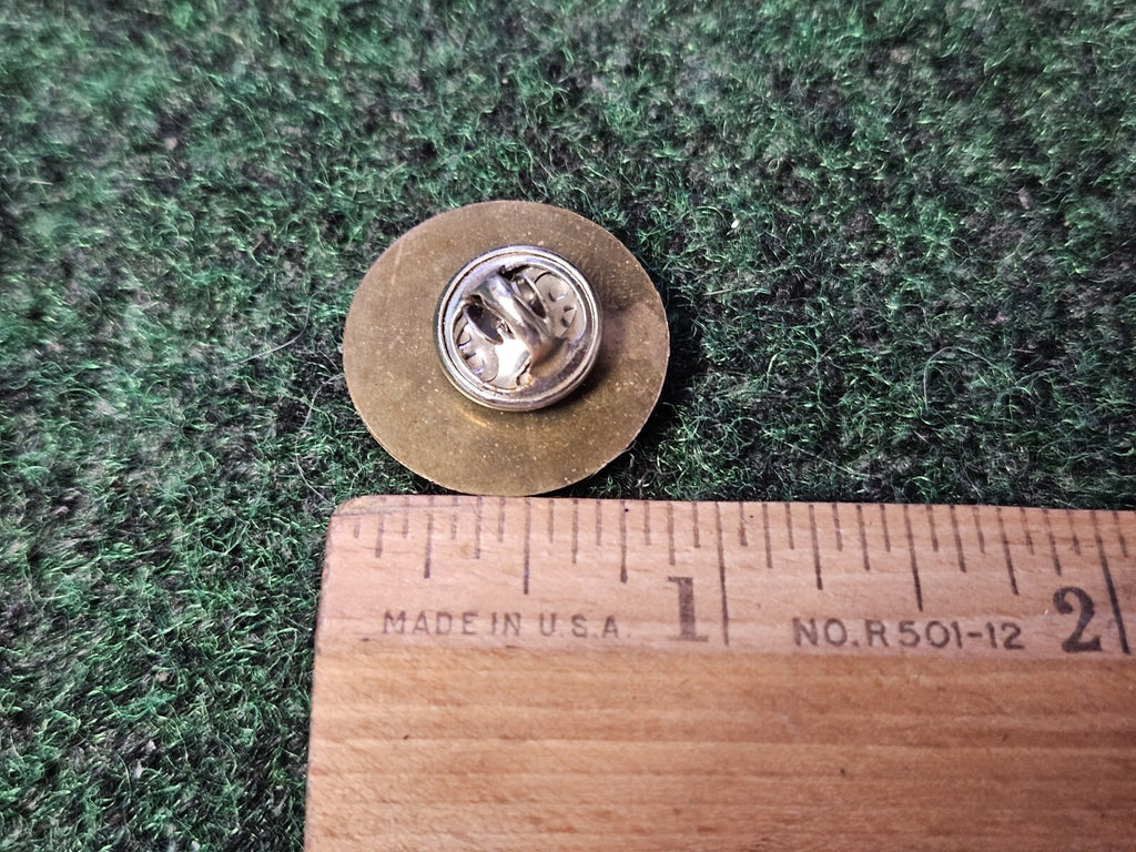 Shriners Masonic  Masons California Raisins Vintage Lapel Hat Pin